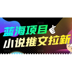 【高端精品】外面收費6880的小說推文拉新項目，個人工作室可批量做