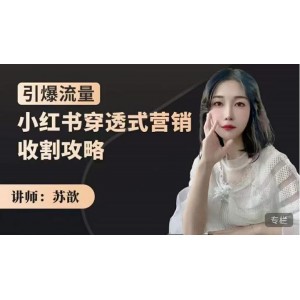 蘇歆：小紅書穿透式營銷收割攻略，引爆流量，助你玩轉(zhuǎn)小紅書