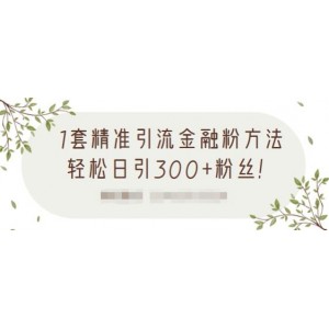 1套精準引流金融粉方法，輕松日引300 粉絲【視頻課程】