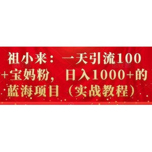 祖小來：一天引流100 寶媽粉，日入1000 的藍海項目（實戰(zhàn)教程）