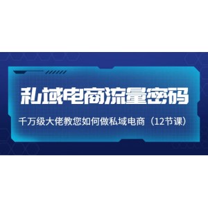 私域電商流量密碼：千萬級大佬教您如何做私域電商（12節(jié)課）