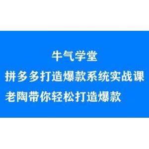 牛氣學(xué)堂拼多多打造爆款系統(tǒng)實(shí)戰(zhàn)課，老陶帶你輕松打造爆款