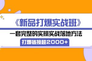 《新品打爆實(shí)戰(zhàn)班》一套完整的實(shí)操實(shí)戰(zhàn)落地方法，打爆鏈接超2000 （38節(jié)課)