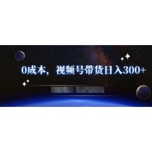 零基礎(chǔ)視頻號帶貨賺錢項目，0成本0門檻輕松日入300 【視頻教程】