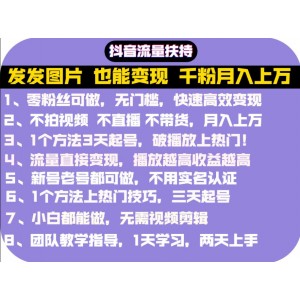 抖音發(fā)圖就能賺錢：千粉月入上萬實操文檔，全是干貨
