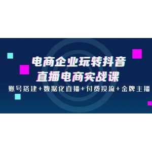 電商企業(yè)玩轉(zhuǎn)抖音直播電商實(shí)戰(zhàn)課：賬號(hào)搭建 數(shù)據(jù)化直播 付費(fèi)投流 金牌主播