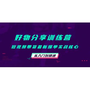好物分享訓(xùn)練營(yíng)：短視頻帶貨最新爆單實(shí)戰(zhàn)核心，從入門(mén)到精通