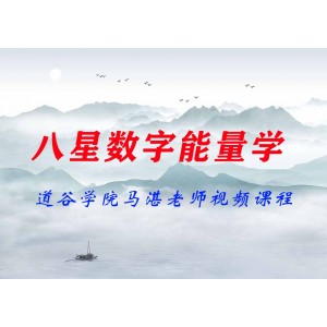 道谷學院馬湛老師八星數字能量學視頻課程共62集