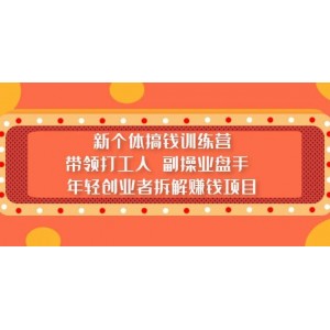新個體搞錢訓(xùn)練營：帶領(lǐng)打工人 副操業(yè)盤手 年輕創(chuàng)業(yè)者拆解賺錢項(xiàng)目