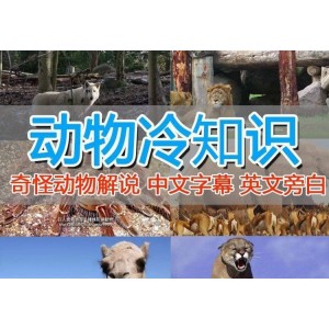 外面賣1699的國外紀錄片解說（動物解說、美食、動畫片）穩(wěn)過中視頻