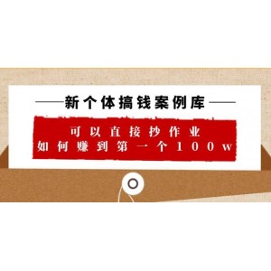 新個體 搞錢案例 庫，可以直接抄作業(yè) 如何賺到第一個100w（29節(jié)視頻 文檔）