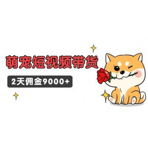 “東哲日記”揭秘萌寵短視頻帶貨秘籍，短短兩日傭金高達(dá)9000+！