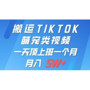 輕松實(shí)現(xiàn)TIKTOK萌寵視頻一鍵遷移，單部手機(jī)即可掌控，全平臺自由發(fā)布，月賺5W+不是夢！